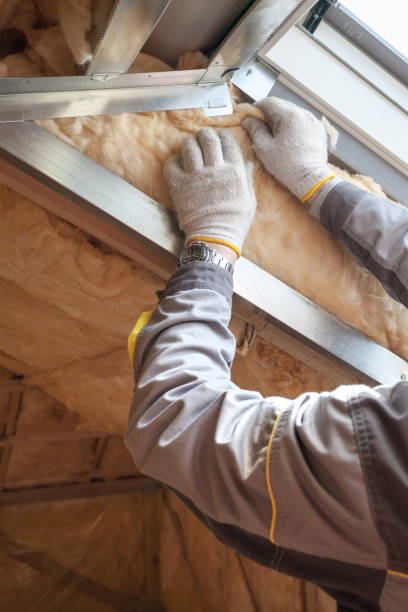 Best Insulation Inspection Services  in Cherry Creek, CO
